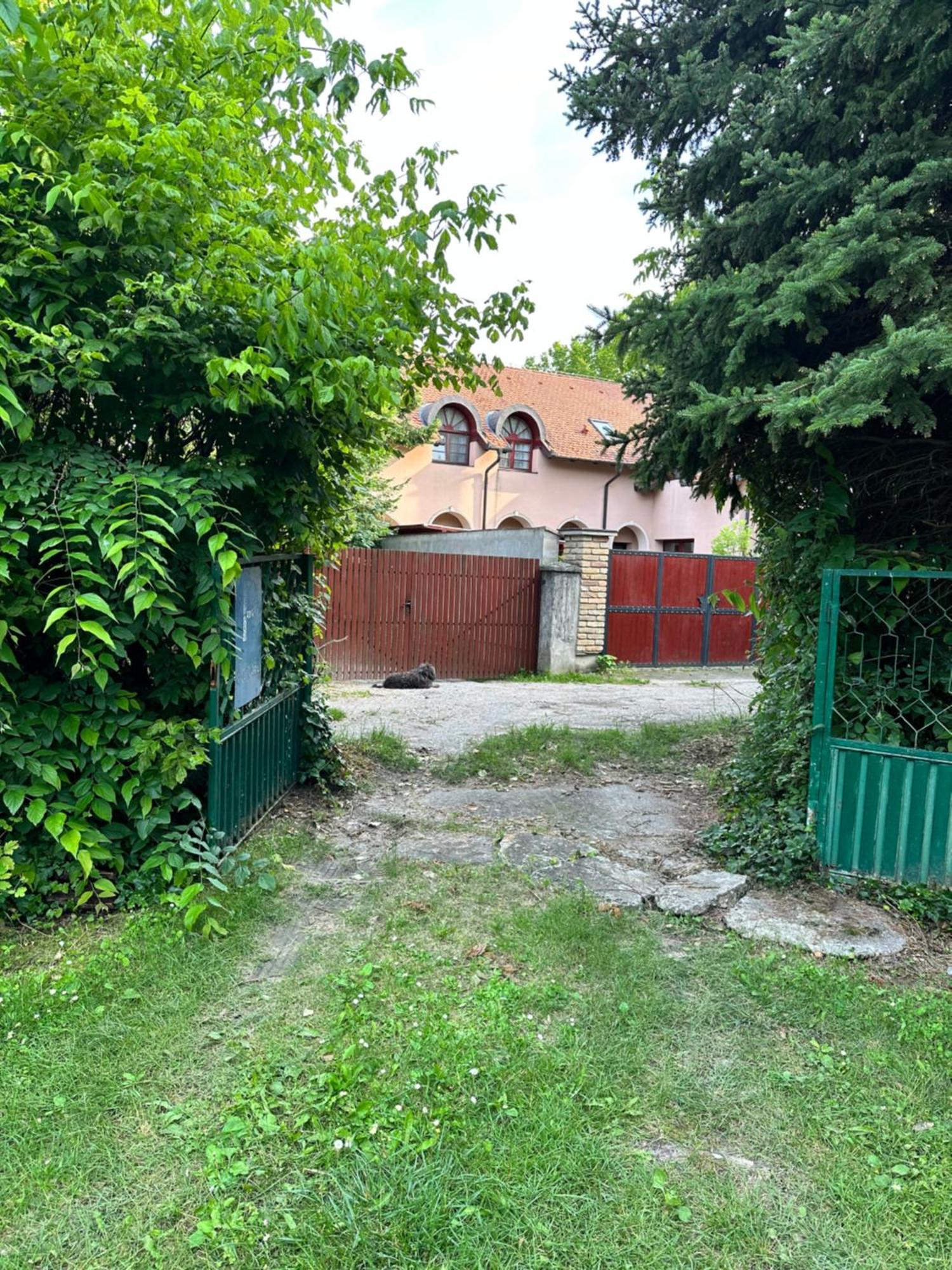 Vila Regina Palić Habitación foto